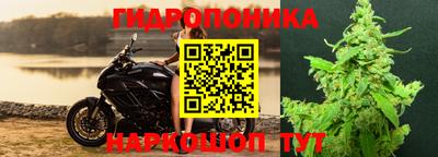 бошки Будённовск
