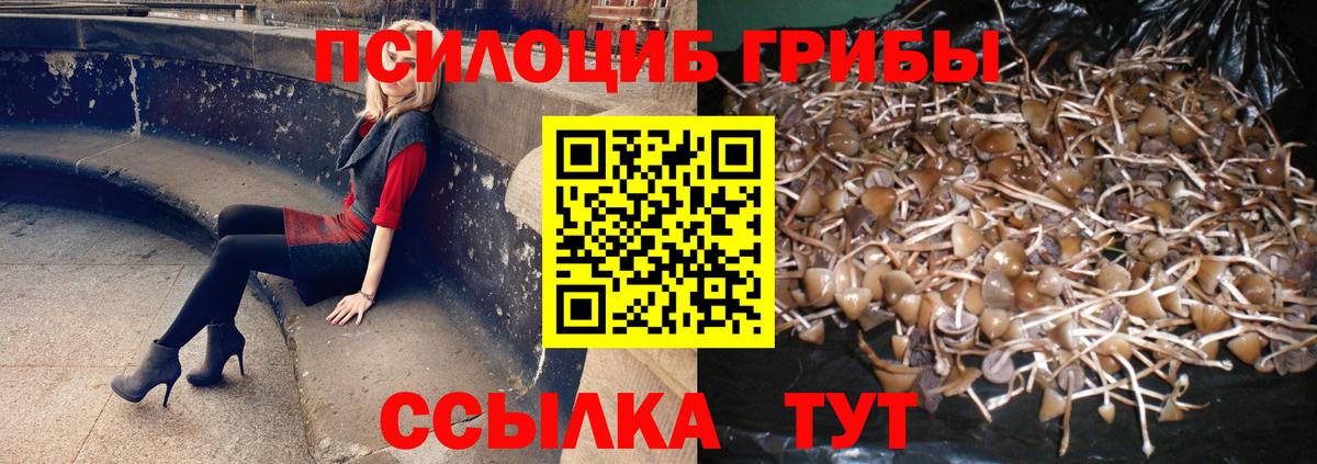 Сертолово  Псилоцибиновые грибы мухоморы  Вход с VPN  Псилоцибиновые грибы мицелий 